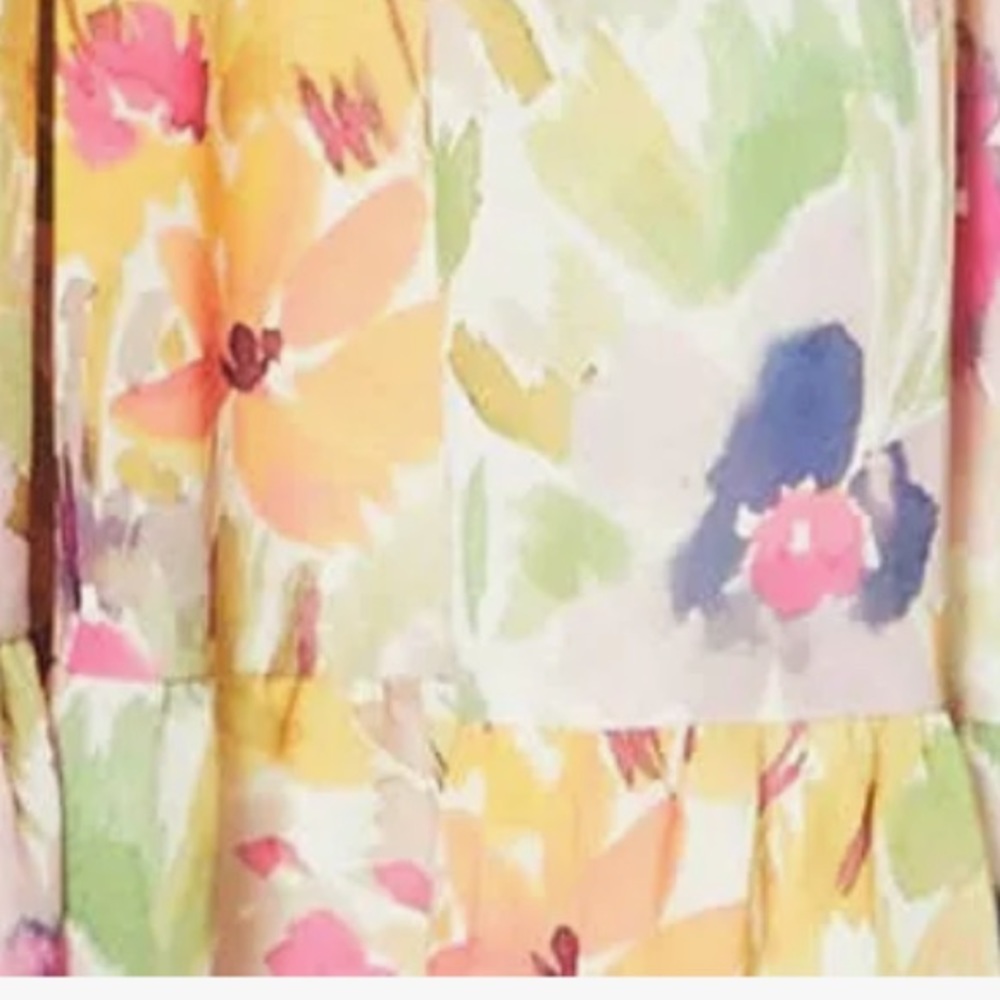 ML MONIQUE LHUILLIER Blooming Field Smocked - Picture 4 of 11